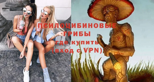 спиды Губаха