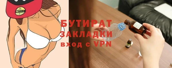 индика Елабуга