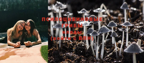 индика Елабуга