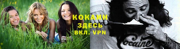 мяу мяу мука Заводоуковск