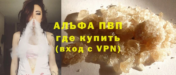 мдпв Гатчина